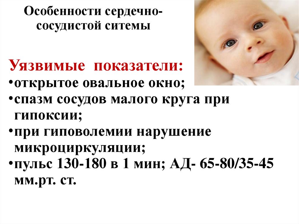 Особенности сердечно-сосудистой ситемы