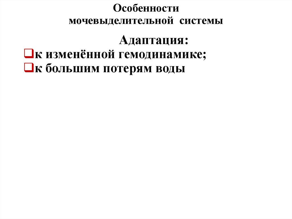 Особенности мочевыделительной системы