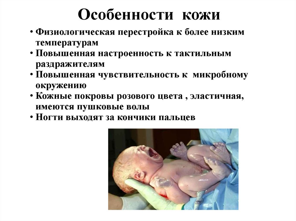 Особенности кожи