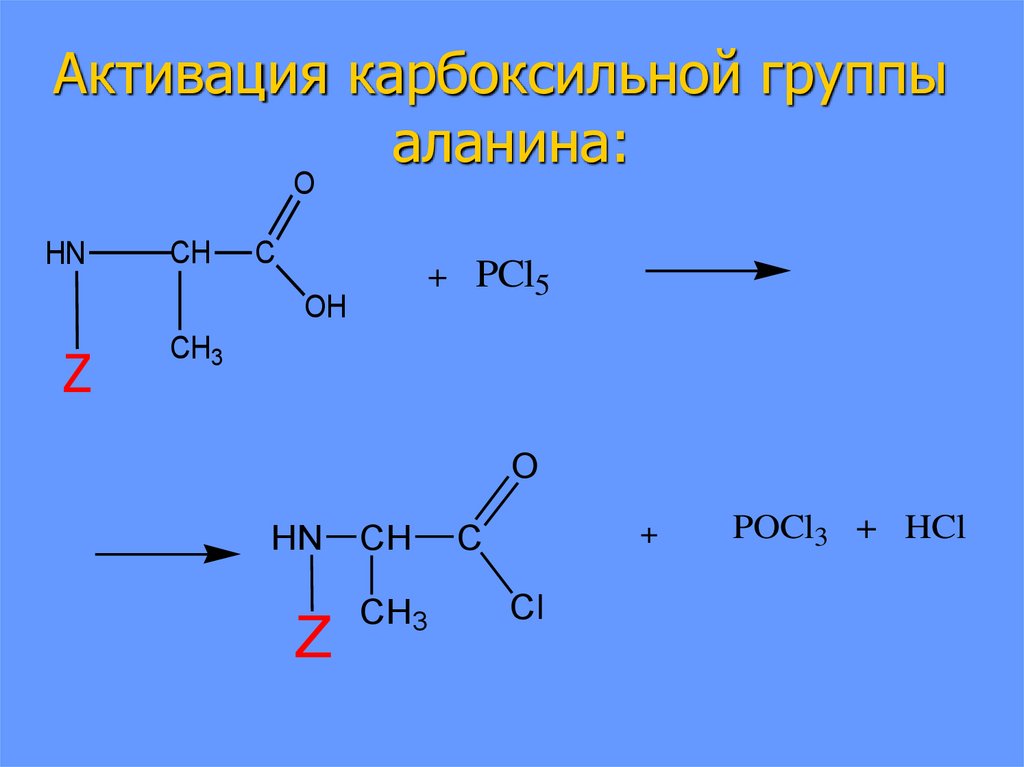 Синтез полипептида происходит