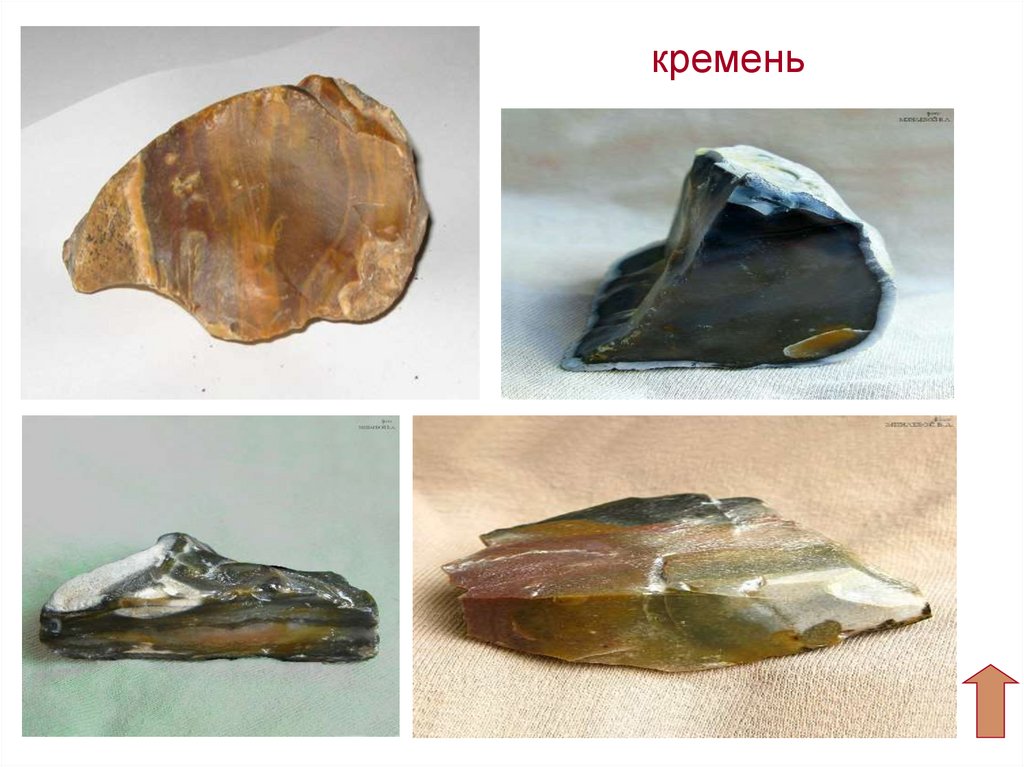 Кремень. История открытия кремния. Аллотропные модификации кремния.