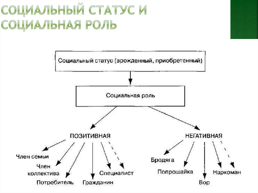 Типичные социальные роли личности схема