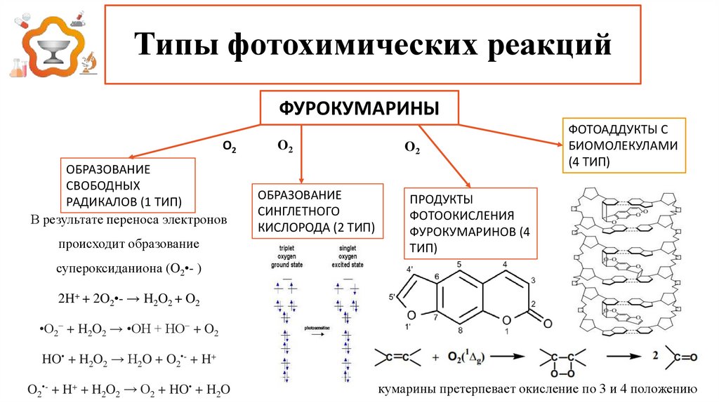 Квантовые фотохимические реакции