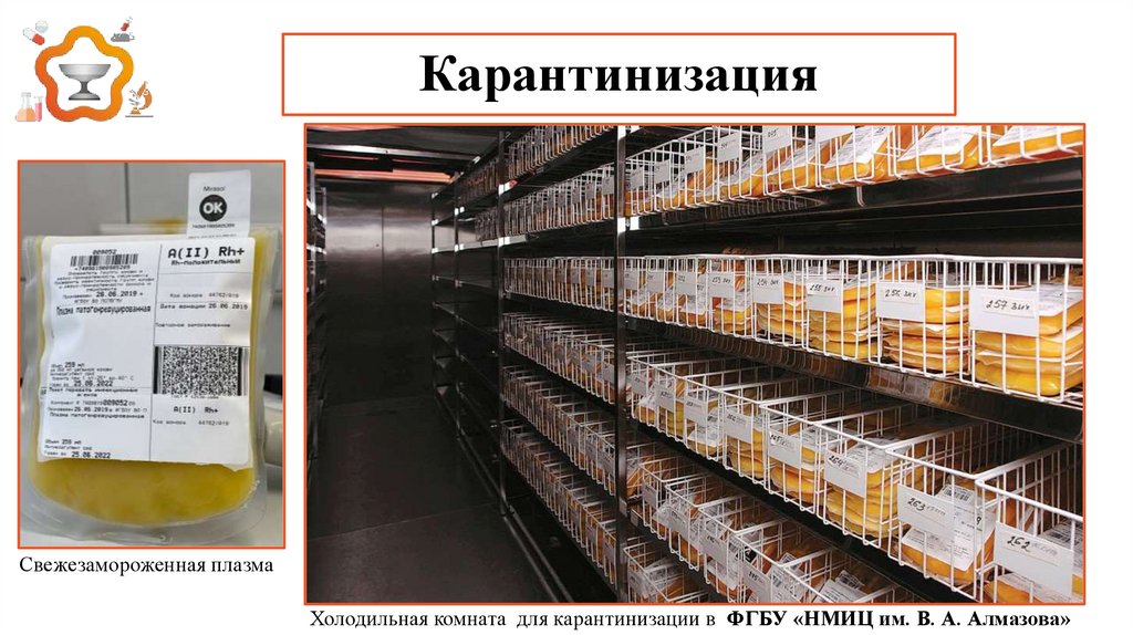 Карантинизация