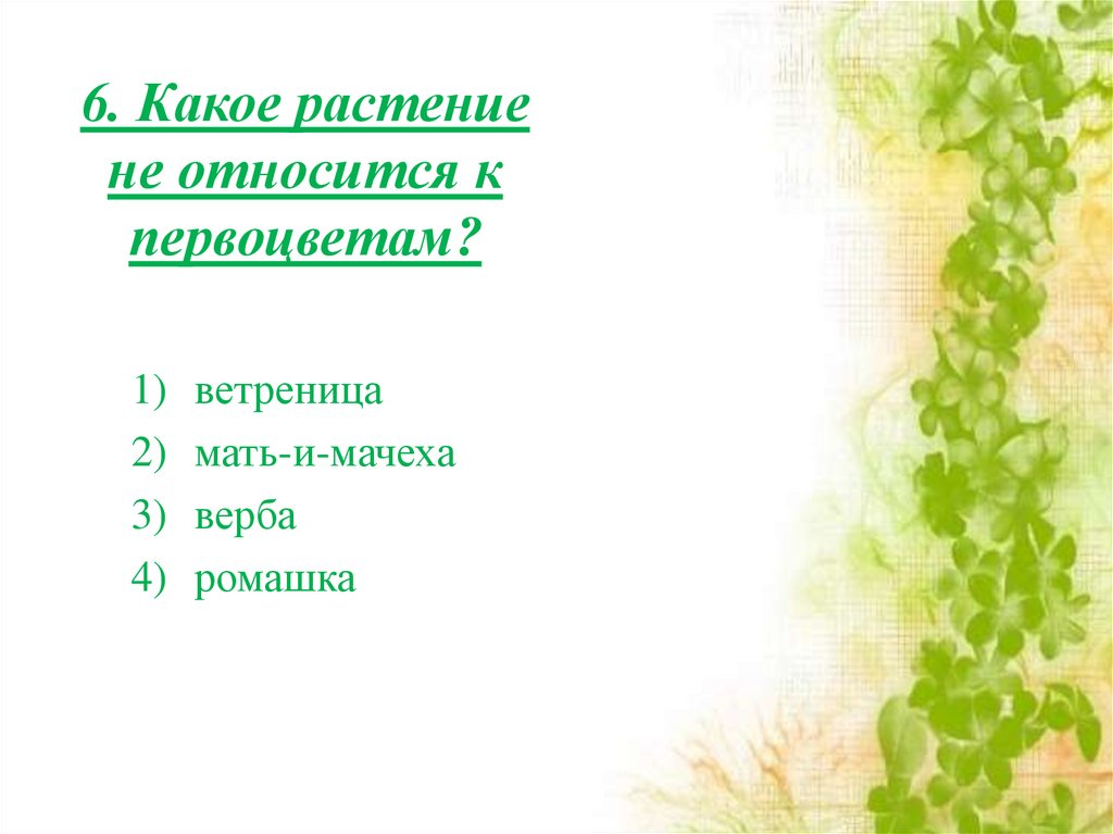 6. Какое растение не относится к первоцветам?