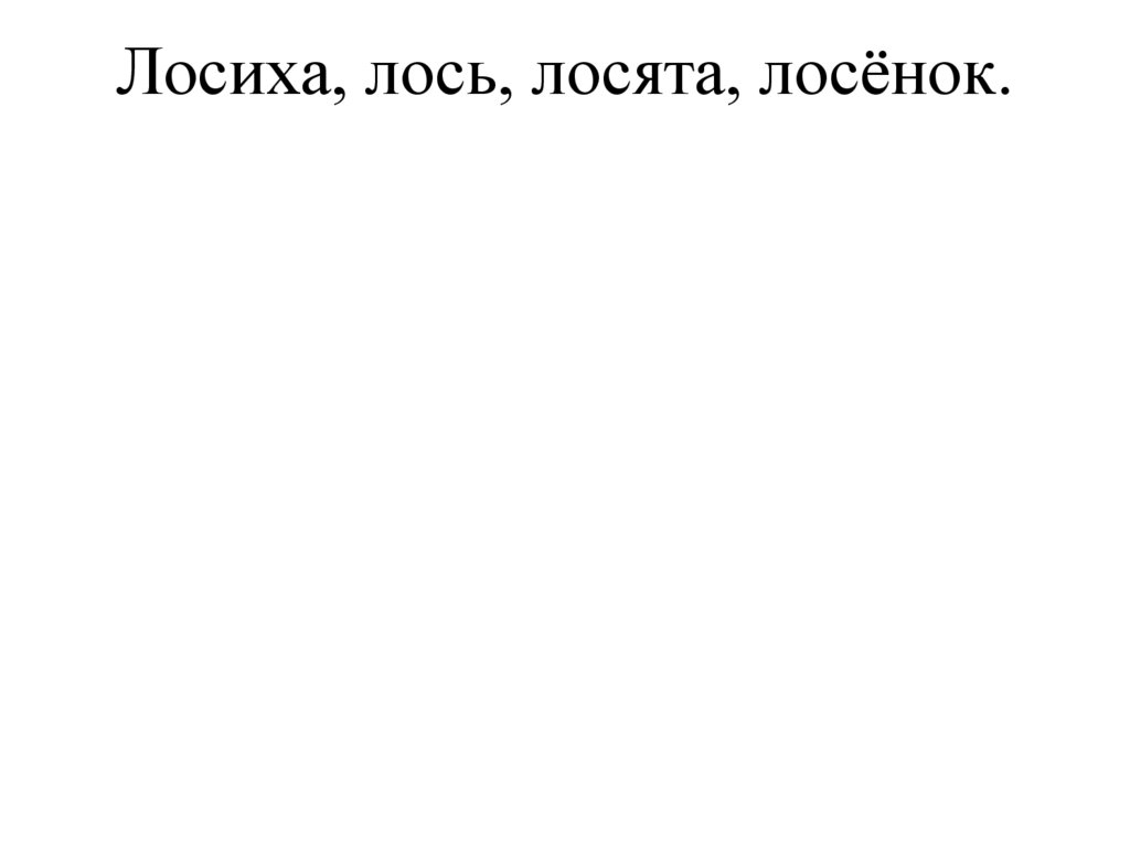 Лосиха, лось, лосята, лосёнок.