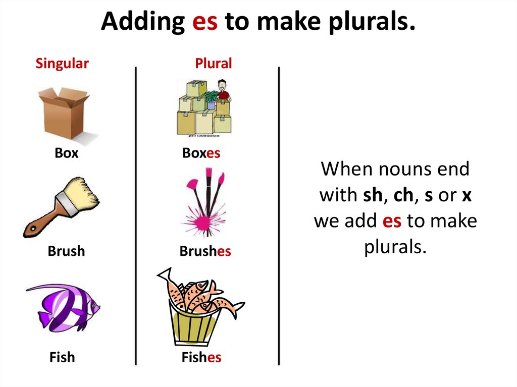 singular-and-plural-one-and-more-6
