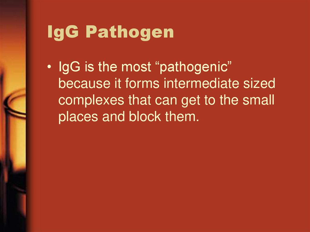 IgG Pathogen