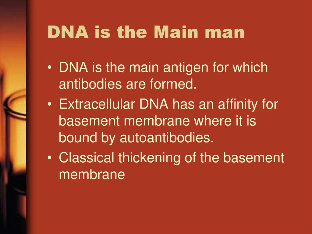DNA is the Main man