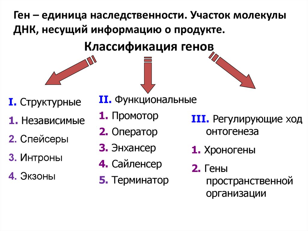 Химическая организация генетического материала