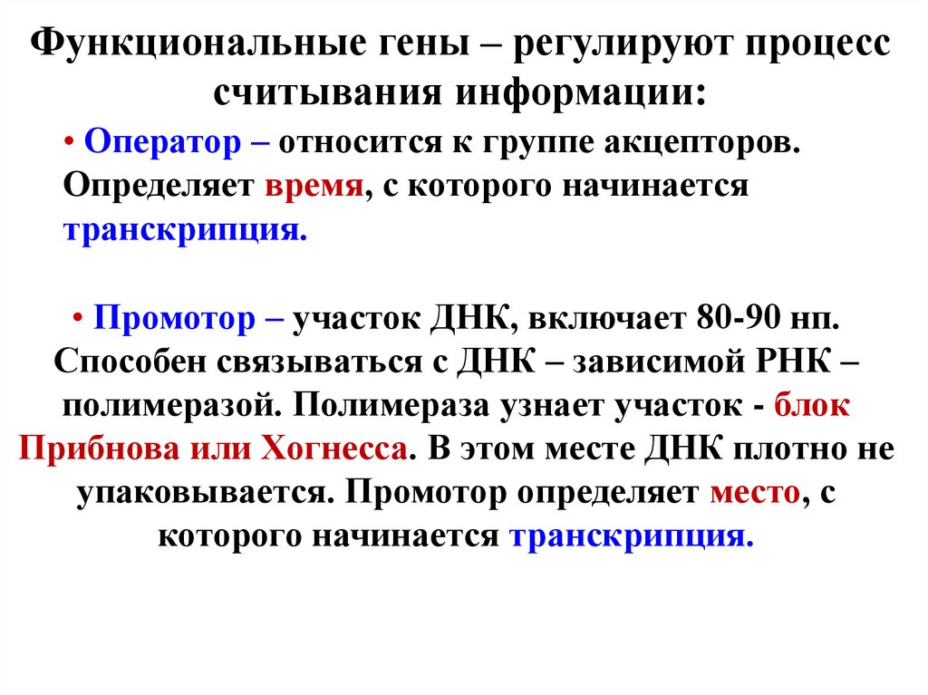 Функциональные гены. Классификация генов. Свойства и классификация генов. Функциональная классификация генов. Структурная классификация генов.