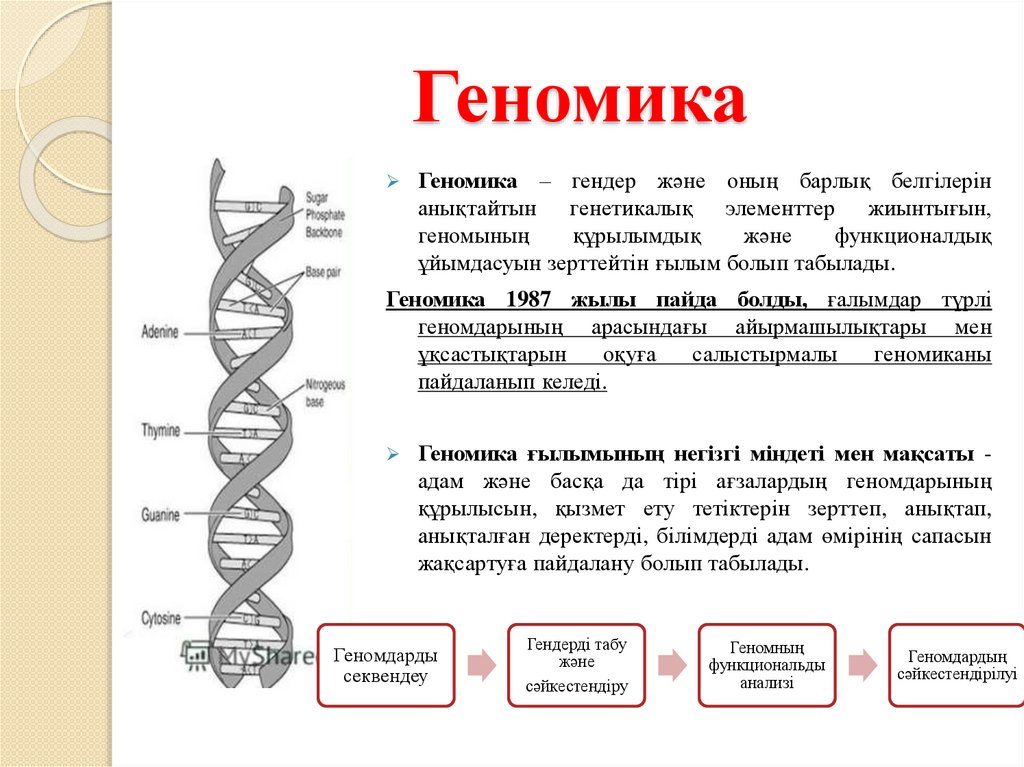 Презентация геномика и протеомика