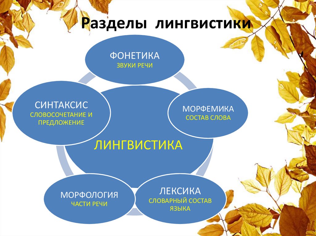 Лингвистика 5 класс конспект урока. Разделы языкознания схема. Лингвистические разделы. Разделы лингвистики схема. Разделы лингвистики 5 класс.