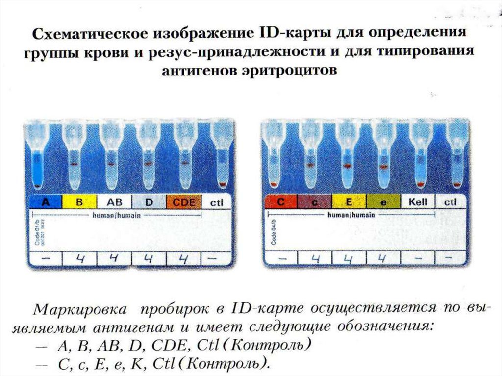 Диагностика групп