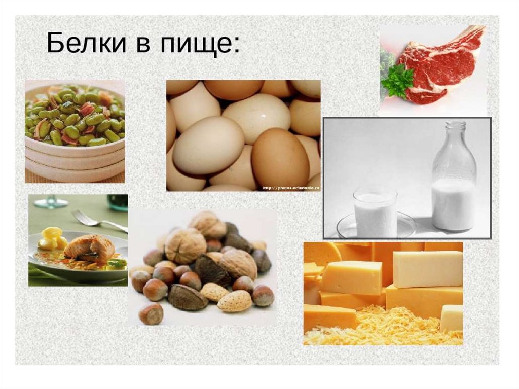 Белки вещества картинки