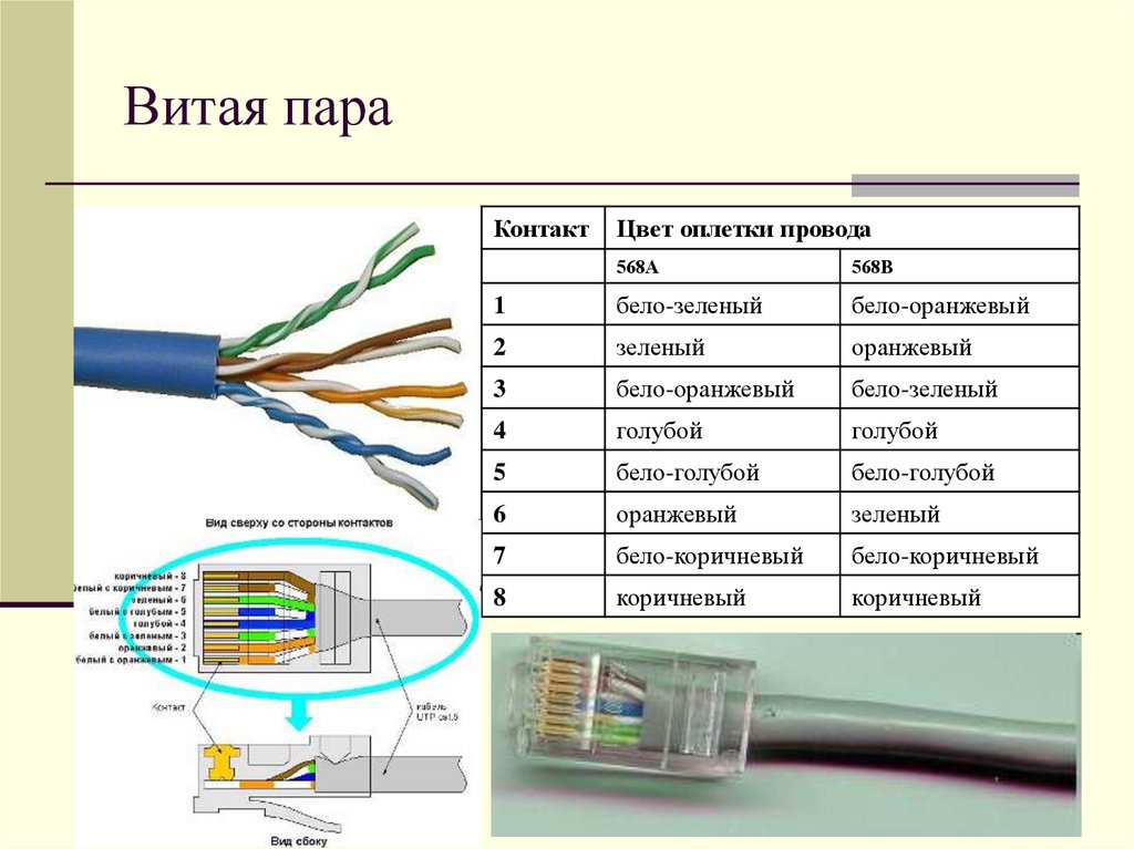 Какая бывает витая пара. Схема подключения Ethernet кабеля 4 жилы. Категории кабельных соединений на витой паре STP UTP. Витая пара сечение жилы Cat 5e. Витая пара кабель для интернета 4 жильный.