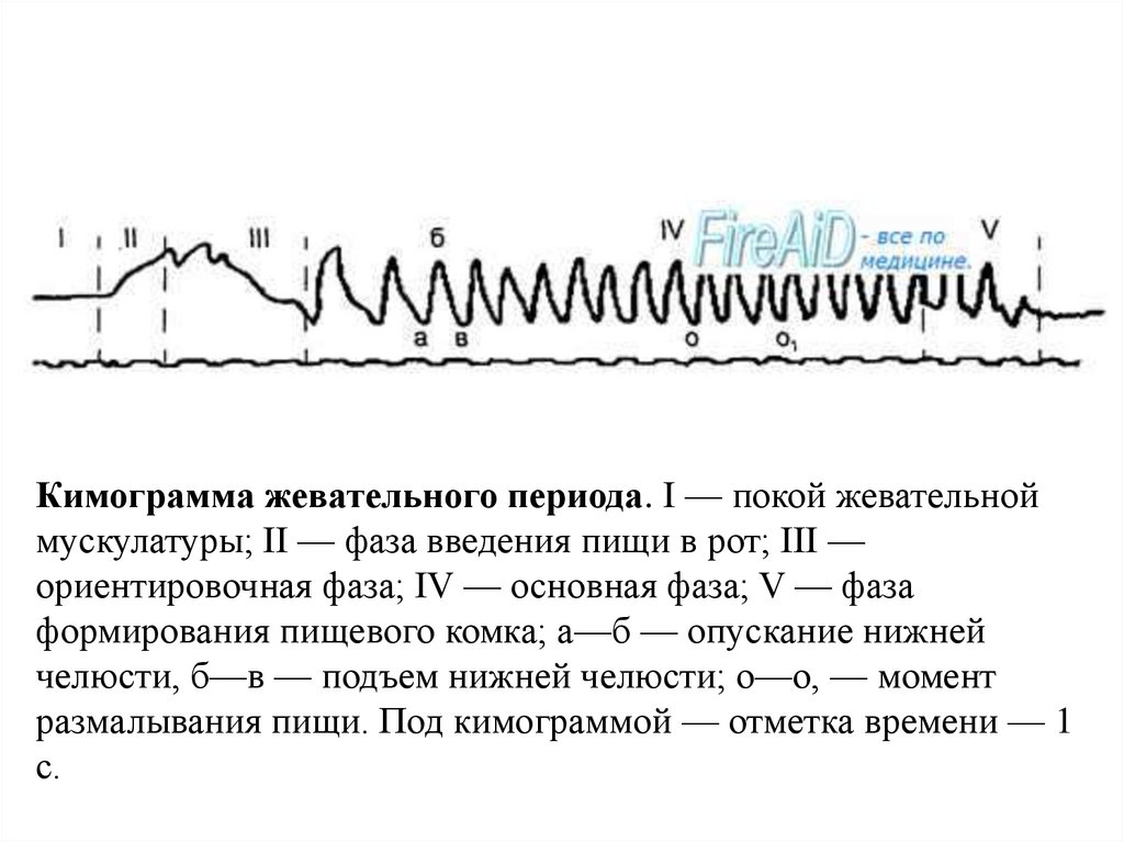 fiziologiyapishchevareniyapdf  PPT