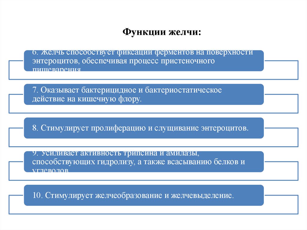 Функции желчи. Функции желчи физиология. Функции желчи схема. Блок схема функции желчи.