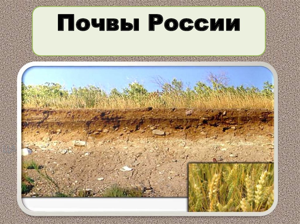 Лучшие почвы россии
