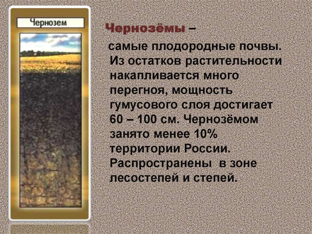 Какие области черноземные почвы россии. Самые не плодоролнве почвы. Самые плодородные почвы. Сероземы самые плодородные почвы. Черноземные почвы распространены.