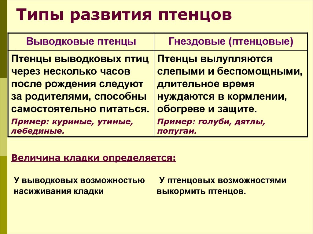 Используя рисунок 164 найдите черты отличия выводковых и гнездовых птиц