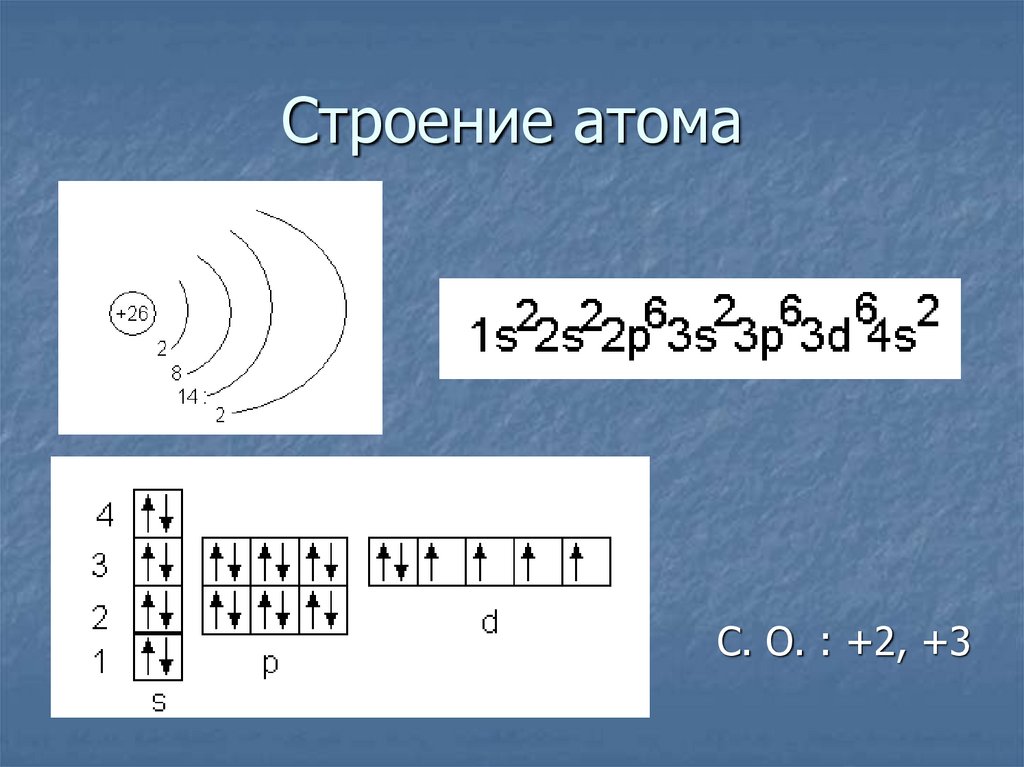 Схема строения f