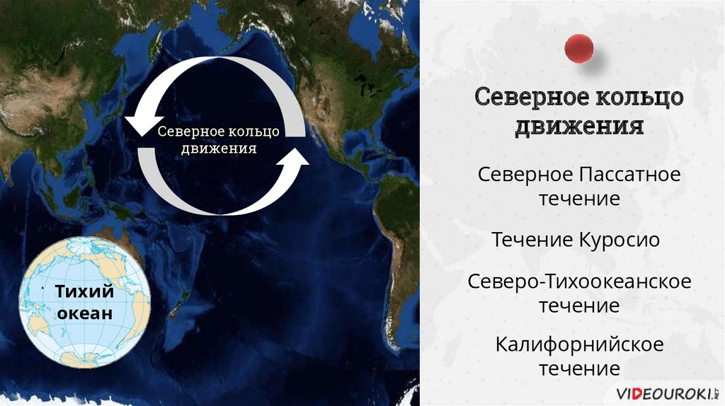 Имена связанные с океаном. Теплые течения Тихого океана. Южная Америка течение Северное пассатное. Господин Куросио. Сообщение про теплое океаническое течение.