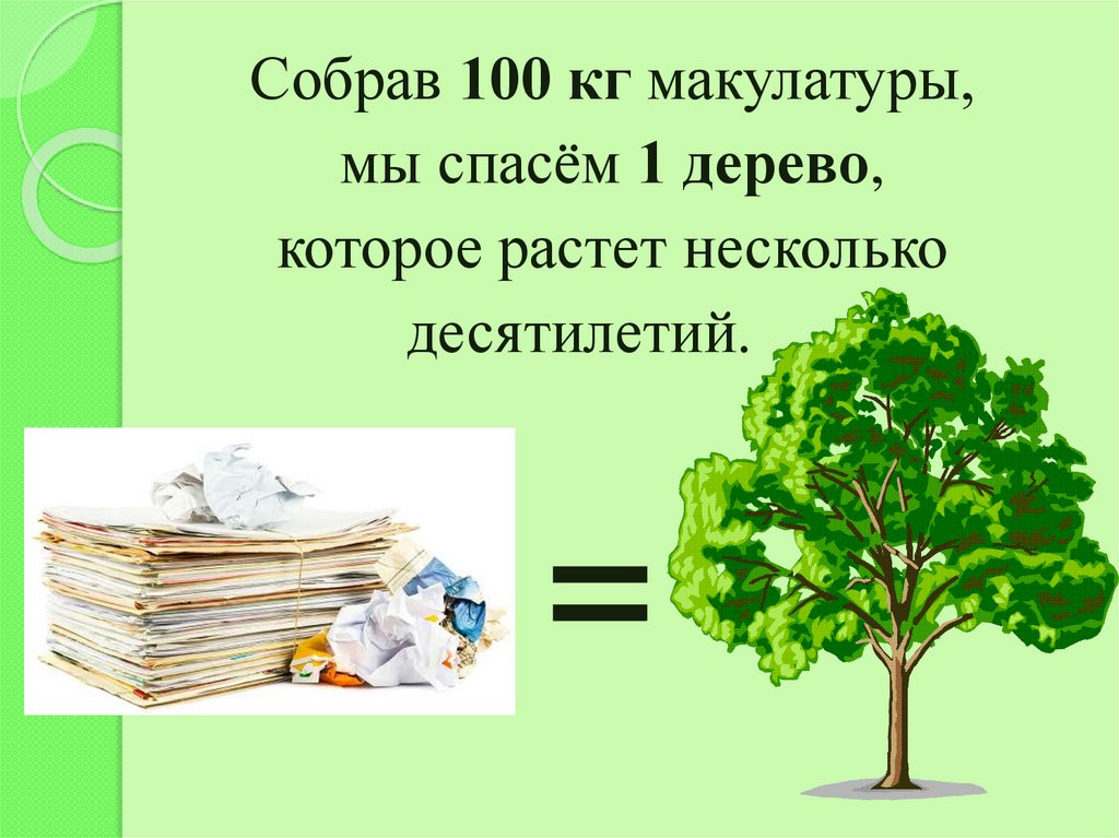 Кг макулатуры. 100 Кг макулатуры спасает 1 дерево.