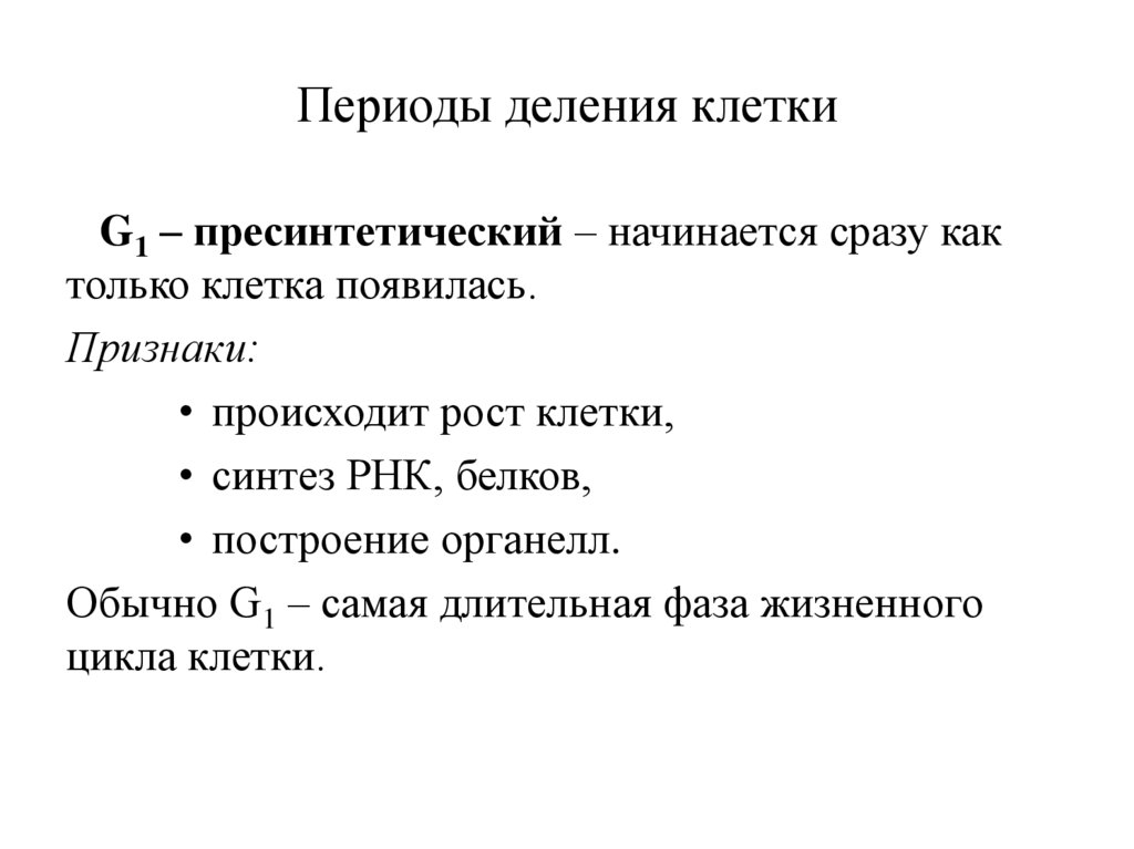 Периоды деления клетки