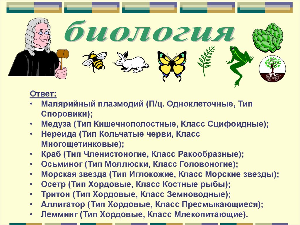 Правовой турнир для старшеклассников с презентацией