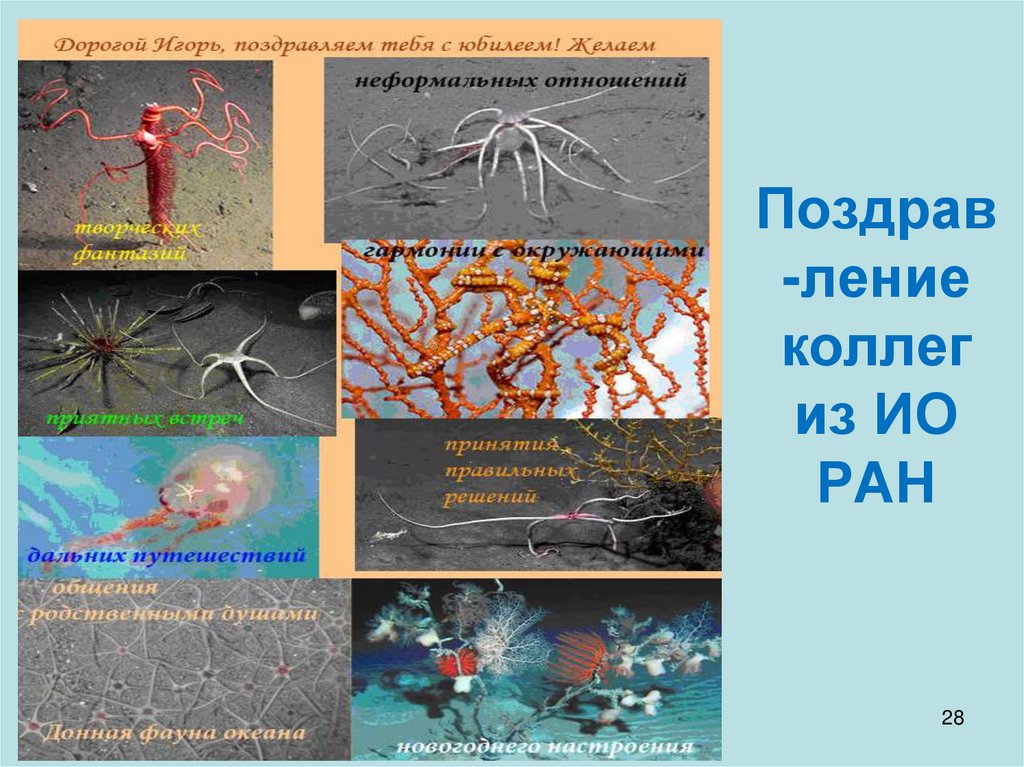 Поздрав-ление коллег из ИО РАН