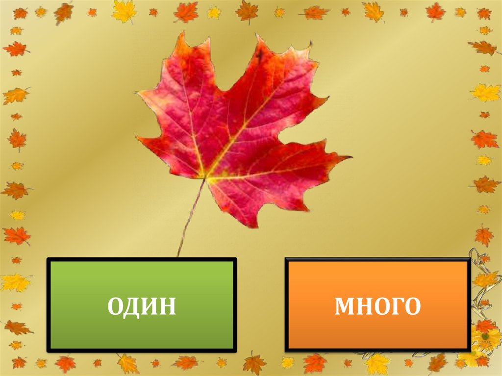 1 1 много. Презентация один много для дошкольников. Презентация 1 и много. Презентация один много для детей 3-4 лет. Один много на тему осень.