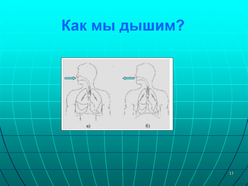 Как мы дышим. Как мы дышим для детей. Картинка как мы дышим. Как мы дышим картинки для детей.