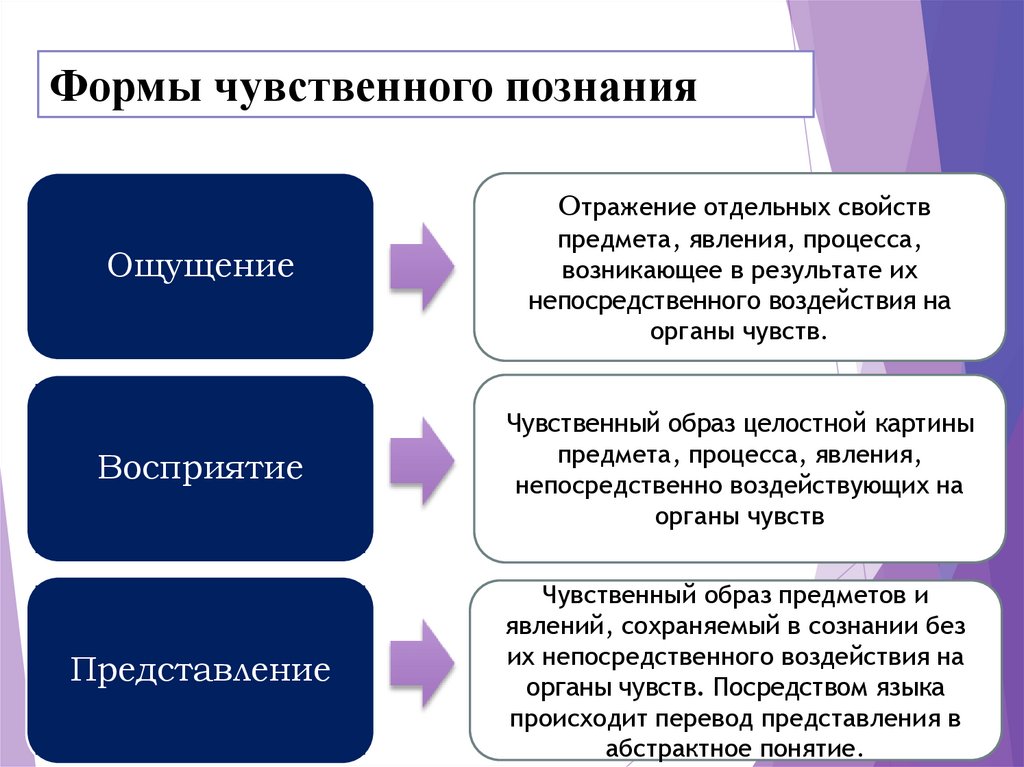 Чувствительное мышление