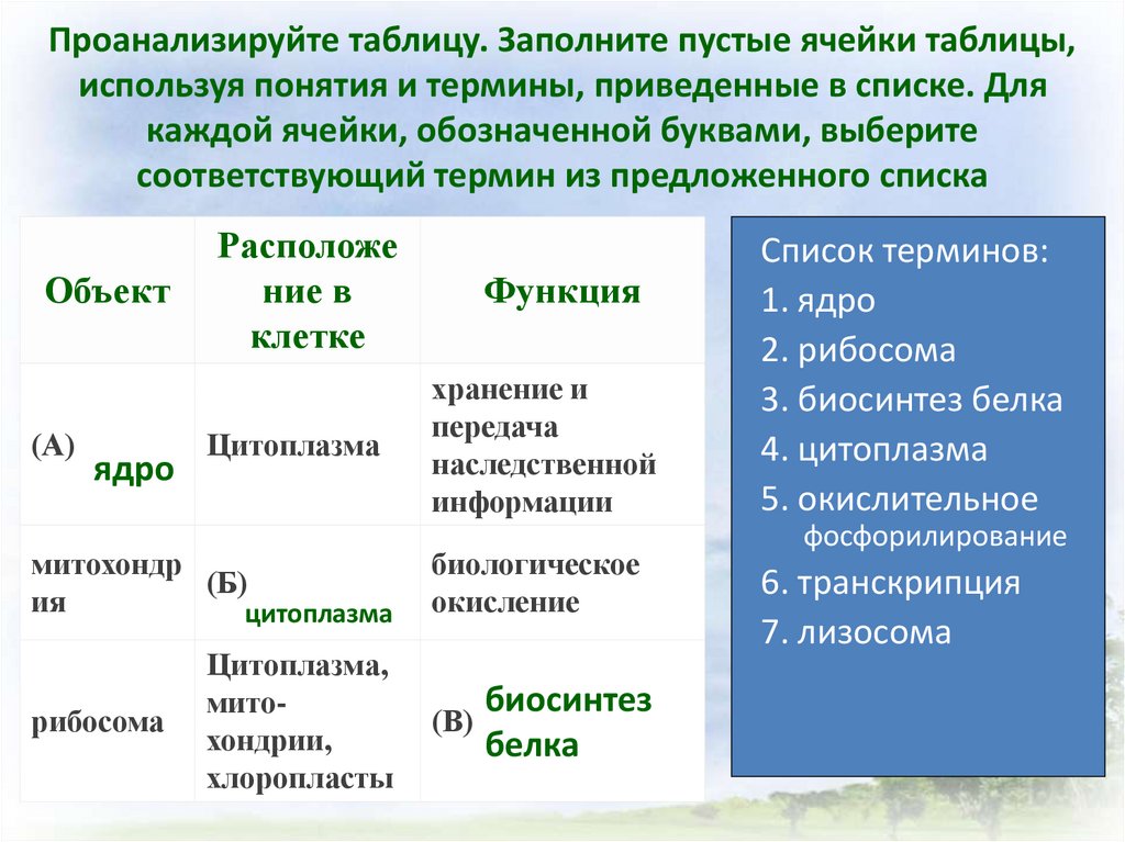 Заполните пустые ячейки таблицы используя термины