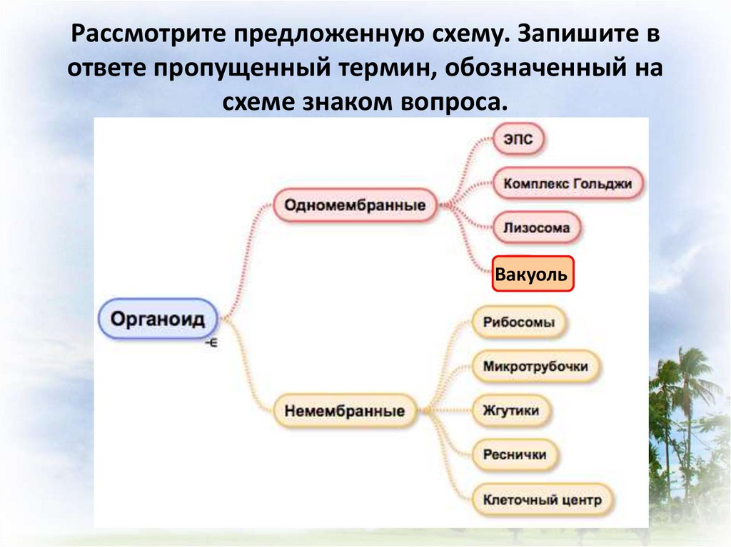 Пропущенный термин