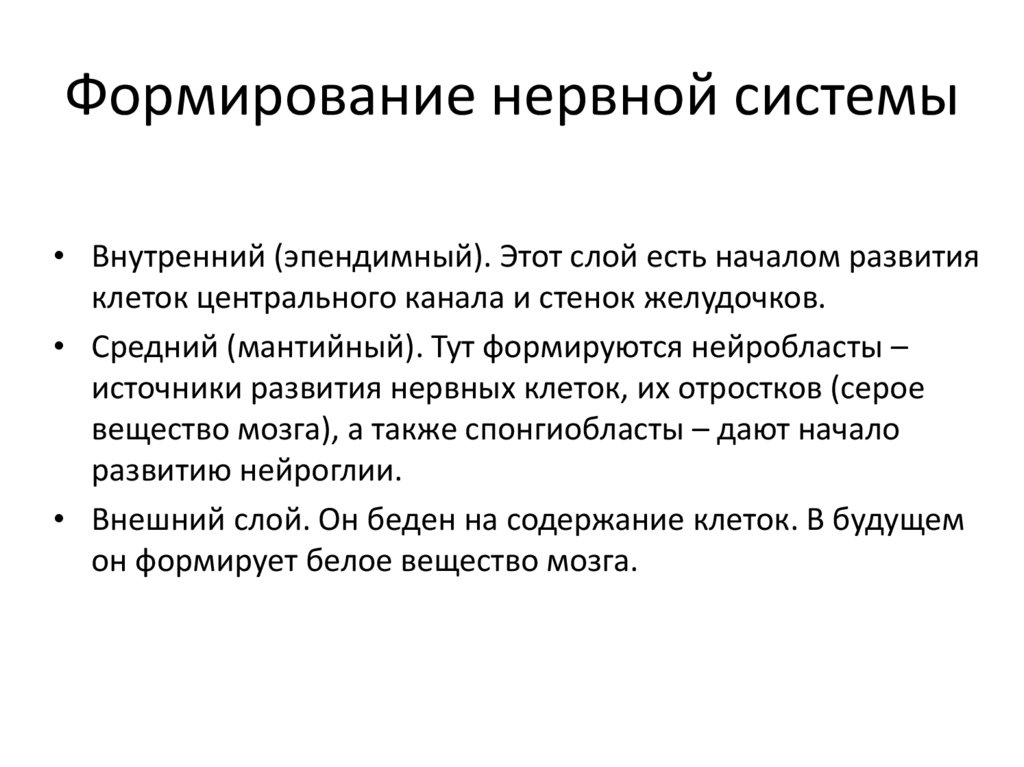 Обратная связь нервная система. Формирование нервной системы. Развитие спинного мозга в онтогенезе. Источники развития нервной системы. Становление нервных связей..