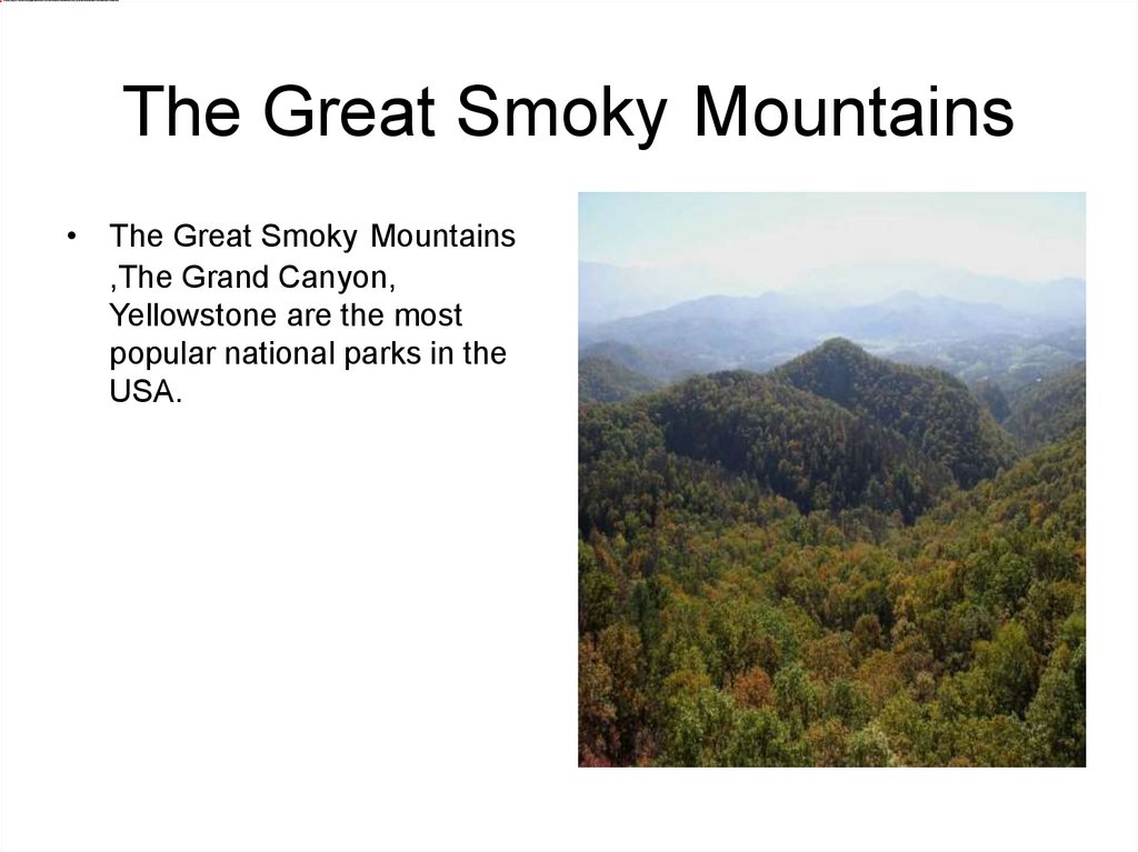 The Great Smoky Mountains