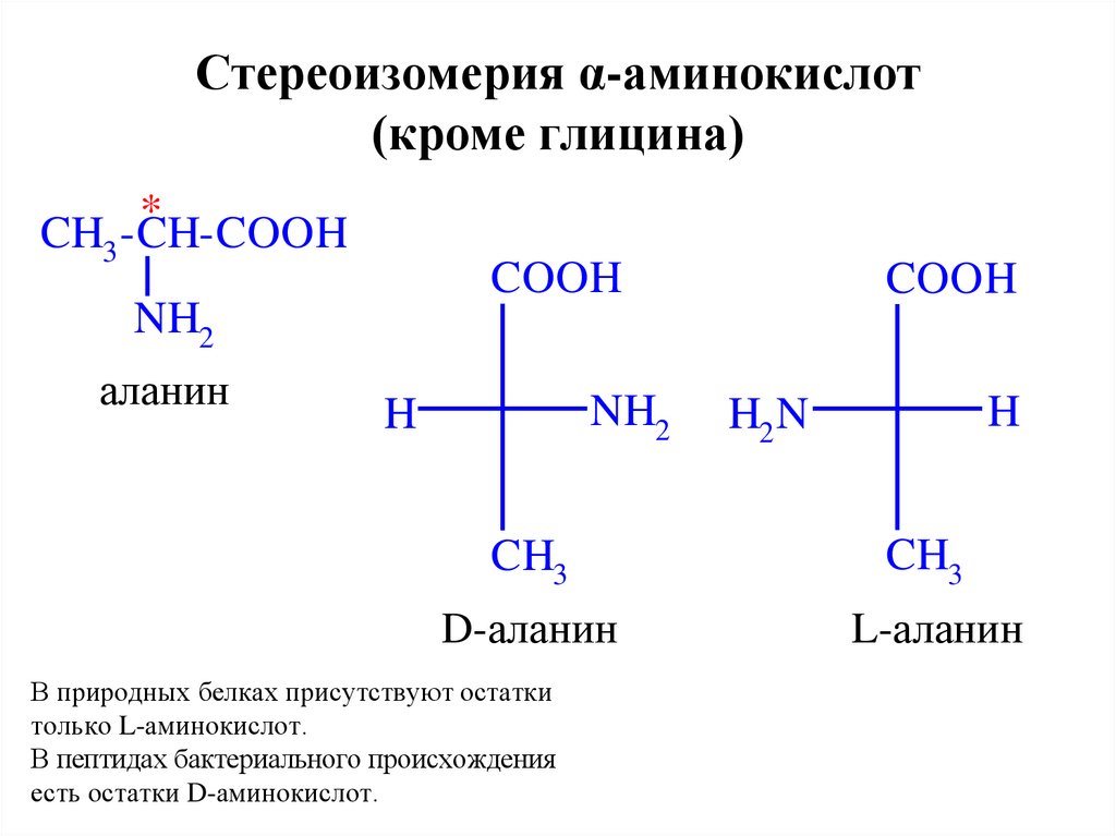 Стереоизомерия α-аминокислот (кроме глицина)