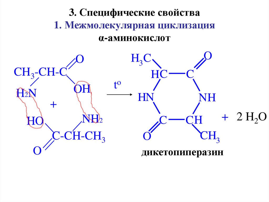 3. Специфические свойства 1. Межмолекулярная циклизация α-аминокислот