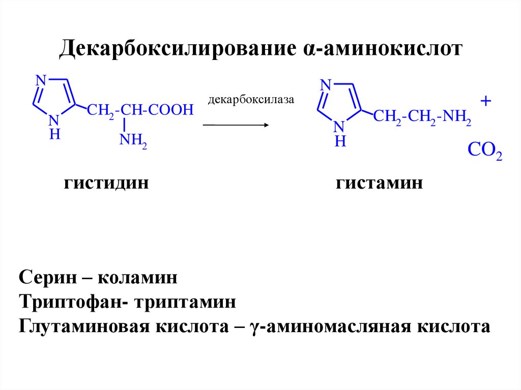 Декарбоксилирование α-аминокислот