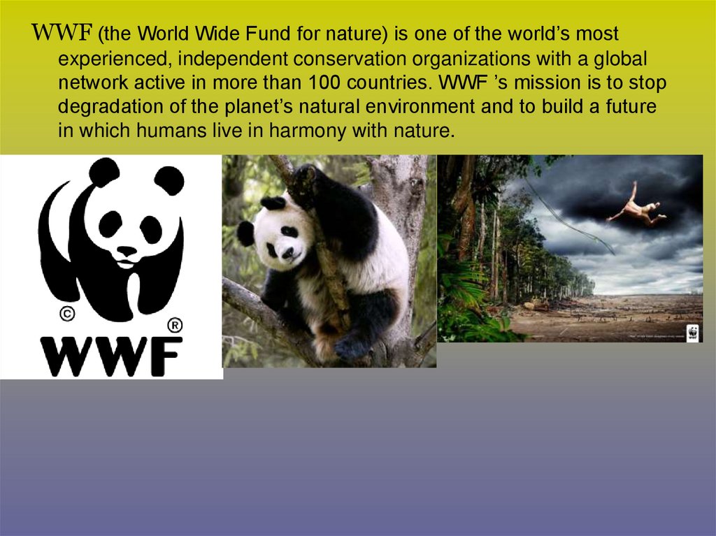 The world wildlife fund is. Всемирный фонд дикой природы WWF. WWF презентация. Эмблема WWF Всемирного фонда дикой природы. WWF доклад.