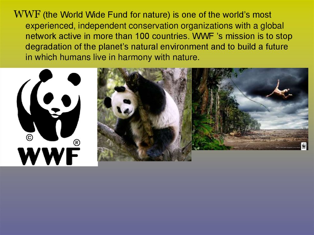 The world wildlife fund is