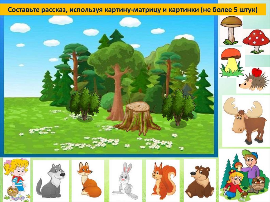 Развитие речи средняя группа картина на полянке. Развитие речи. Картина на полянке средняя группа. Картинка лес для дошкольников. Карточки лесов для дошкольников.