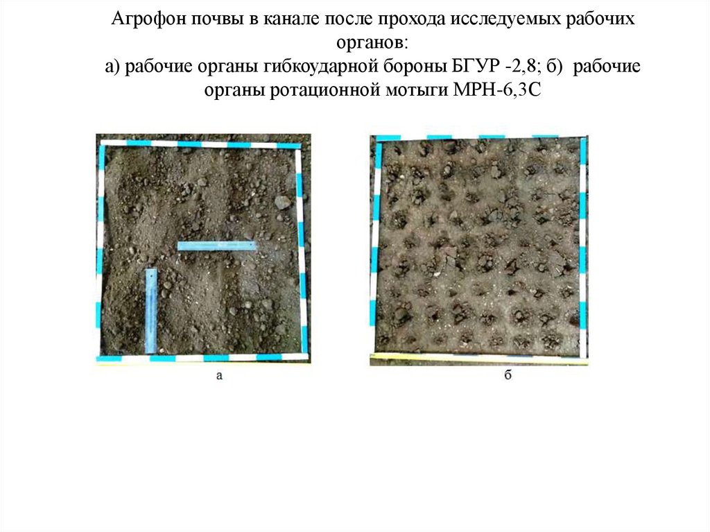 Агрофон почвы в канале после прохода исследуемых рабочих органов: а) рабочие органы гибкоударной бороны БГУР -2,8; б) рабочие
