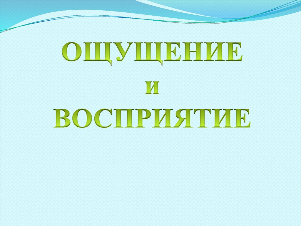 Ощущение и восприятие презентация