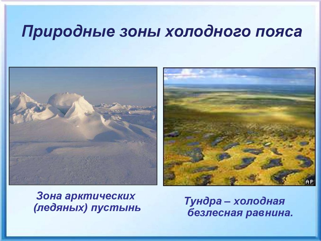 Презентация природные зоны земли 7 класс география полярная звезда