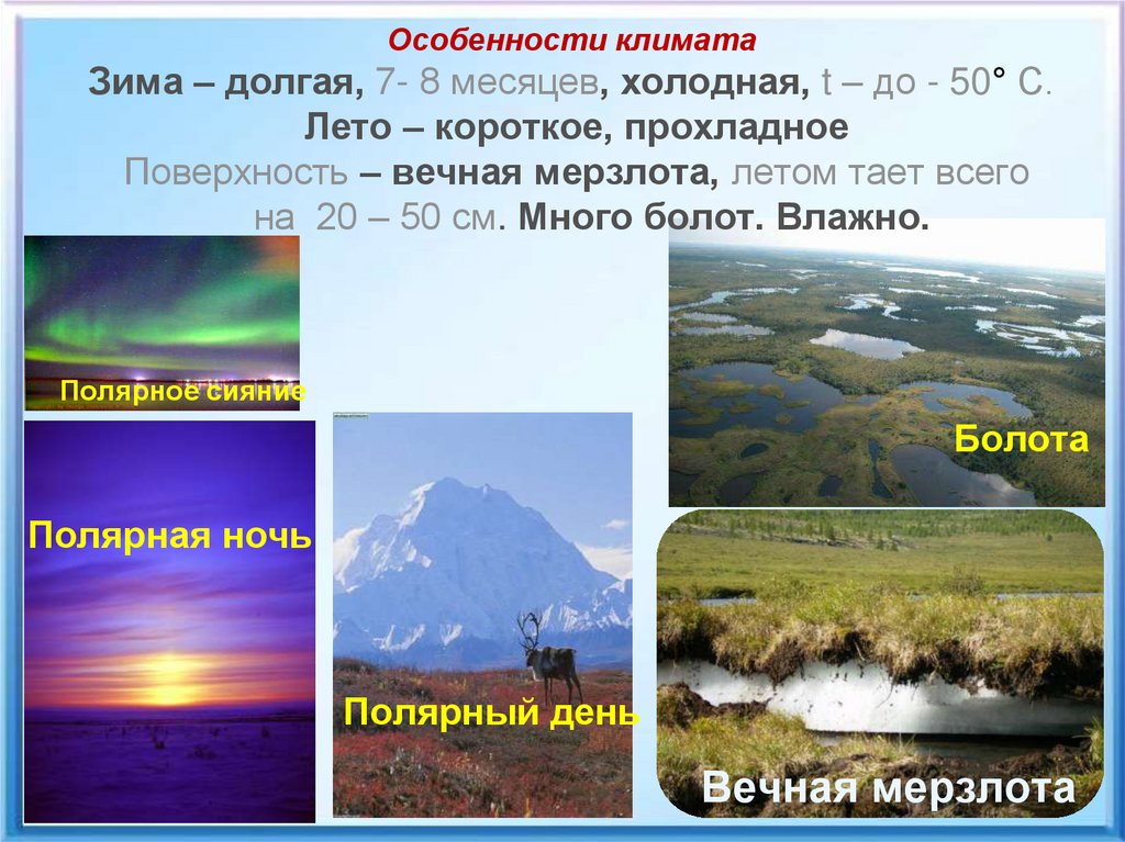 Мягкие климатические условия. Климат. Особенности климата. Климат России. Характеристика климата зимы и лета.