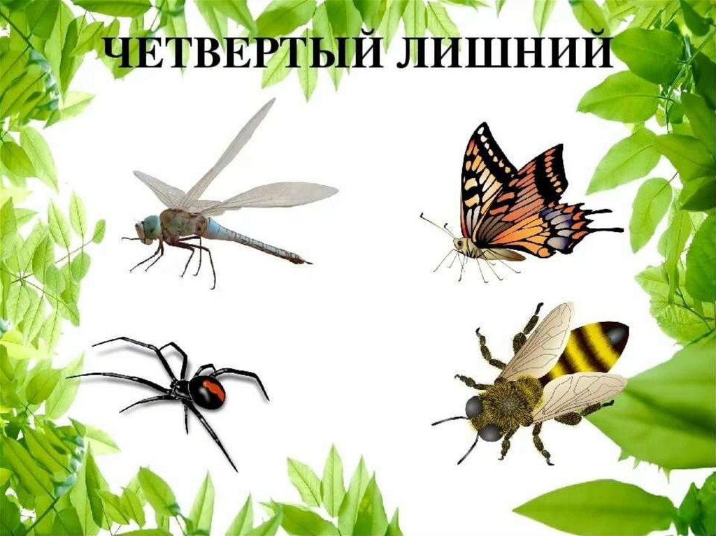 Про насекомых для детей 3 4. Насекомые для дошкольников. Игра четвертый лишний насекомые. Насекомые картинки для детей. Иллюстрации насекомых для детского сада.