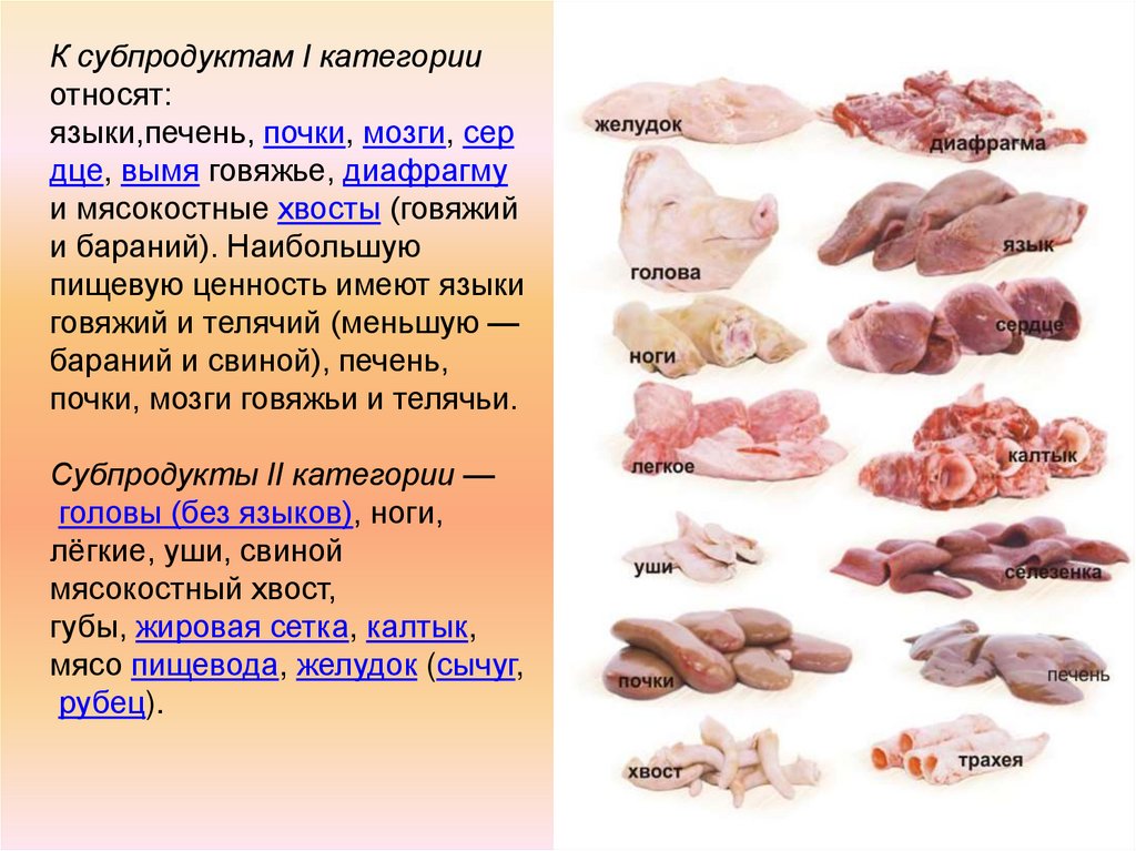 Вред свиной печени. Субпродукты мяса 1 и 2 категории. Субпродукты 1 категории. Что относится к мясным субпродуктам. Субпродукты мясо 1 категории.